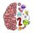 Brain Test 2 icon