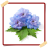 Delphinium Flowers Onet Game icon