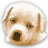 DoggyDog icon