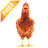 Real Talking Chicken icon