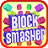 BlockSmasher icon