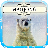 Polar Bears 2 Mahjong icon