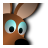 Jump Kangaroo icon