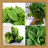 Green Vegetables Onet Game icon
