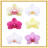 Orchid Flowers Onet Connect Game icon