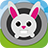 Rabbit Catch Up APK Download