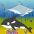 Shark Feed icon