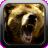 Bear Hunter Maximum icon