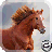 Horse Run 3D icon