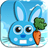 Rabbit version 1