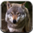 Wolf Sounds for Kids icon
