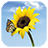 ButterflyJigsaw icon
