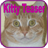 KittyTeaser icon