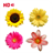 Kids Coloring and Learn Flowers icon