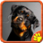 Rottweiler Jigsaw icon