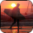 Surfer Games icon