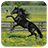 HorseGame icon