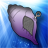 Magic Conch Shell APK Download