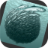 Sardine Run icon