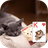 Cute Cats Theme icon