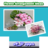 Flower Arrangement Ideas icon