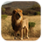 WildAnimalsJigsaw icon