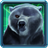 Adventure Bear Run icon