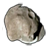AstroCommander icon