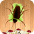 Beetle Smasher HD icon
