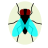 Bug Bug icon