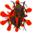 CockRoach Smasher icon