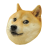 Doge Chase icon