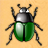 Insect Attack APK Download